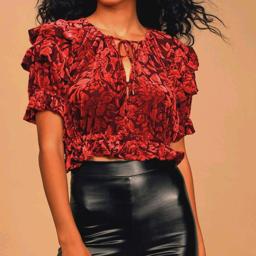 Free people Velveteen Dream blouse